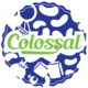 Colossal_box_choice